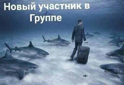 Новый участник в Группе